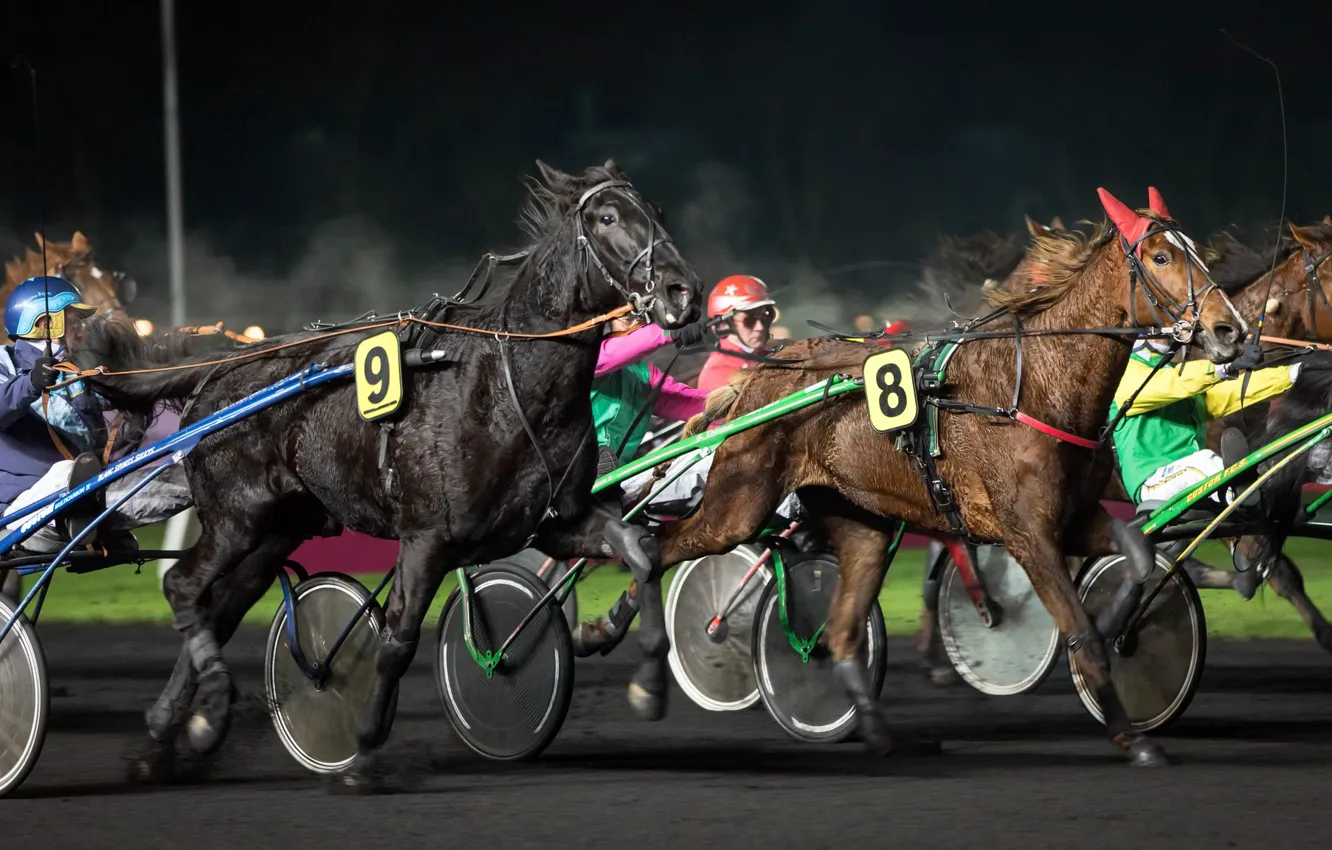 Photo wallpaper race, sport, horses