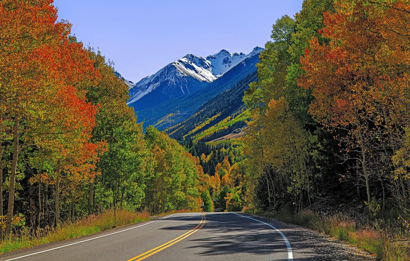 Photo wallpaper road, autumn, trees, mountains, Colorado, USA, Lizard Head Pass