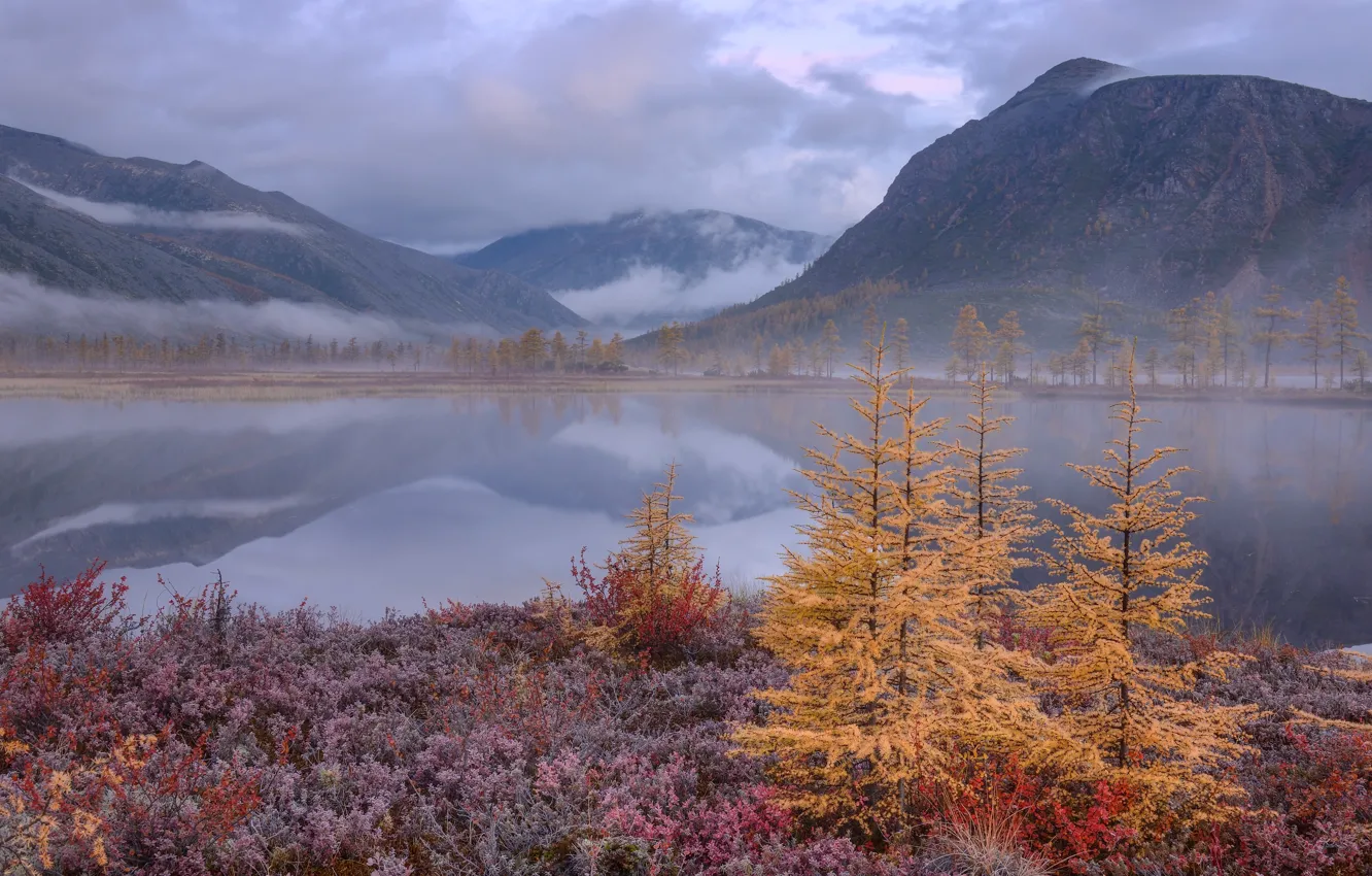 Photo wallpaper the sky, clouds, trees, mountains, nature, rocks, haze, Russia