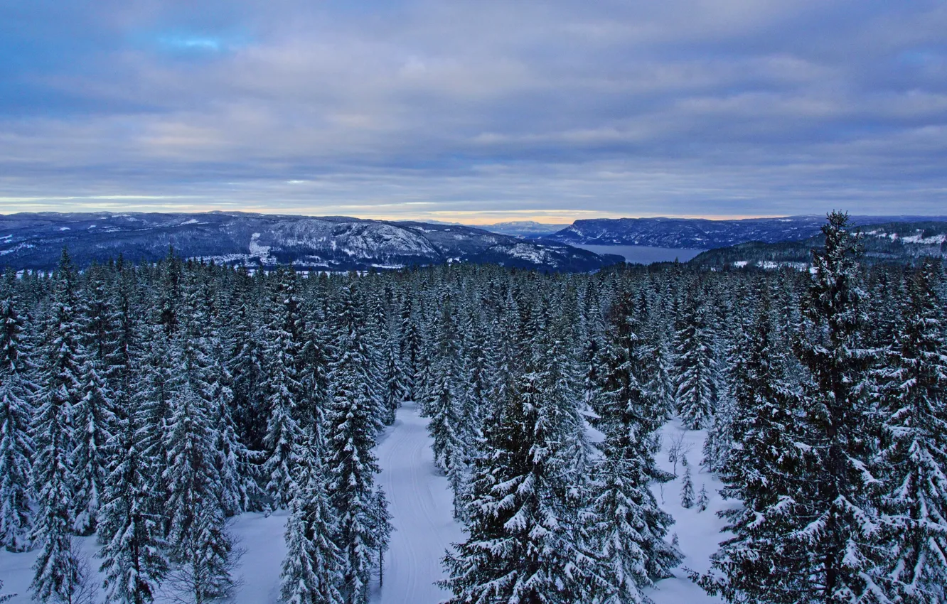 Photo wallpaper winter, forest, the sky, clouds, snow, frost, Norway, panorama