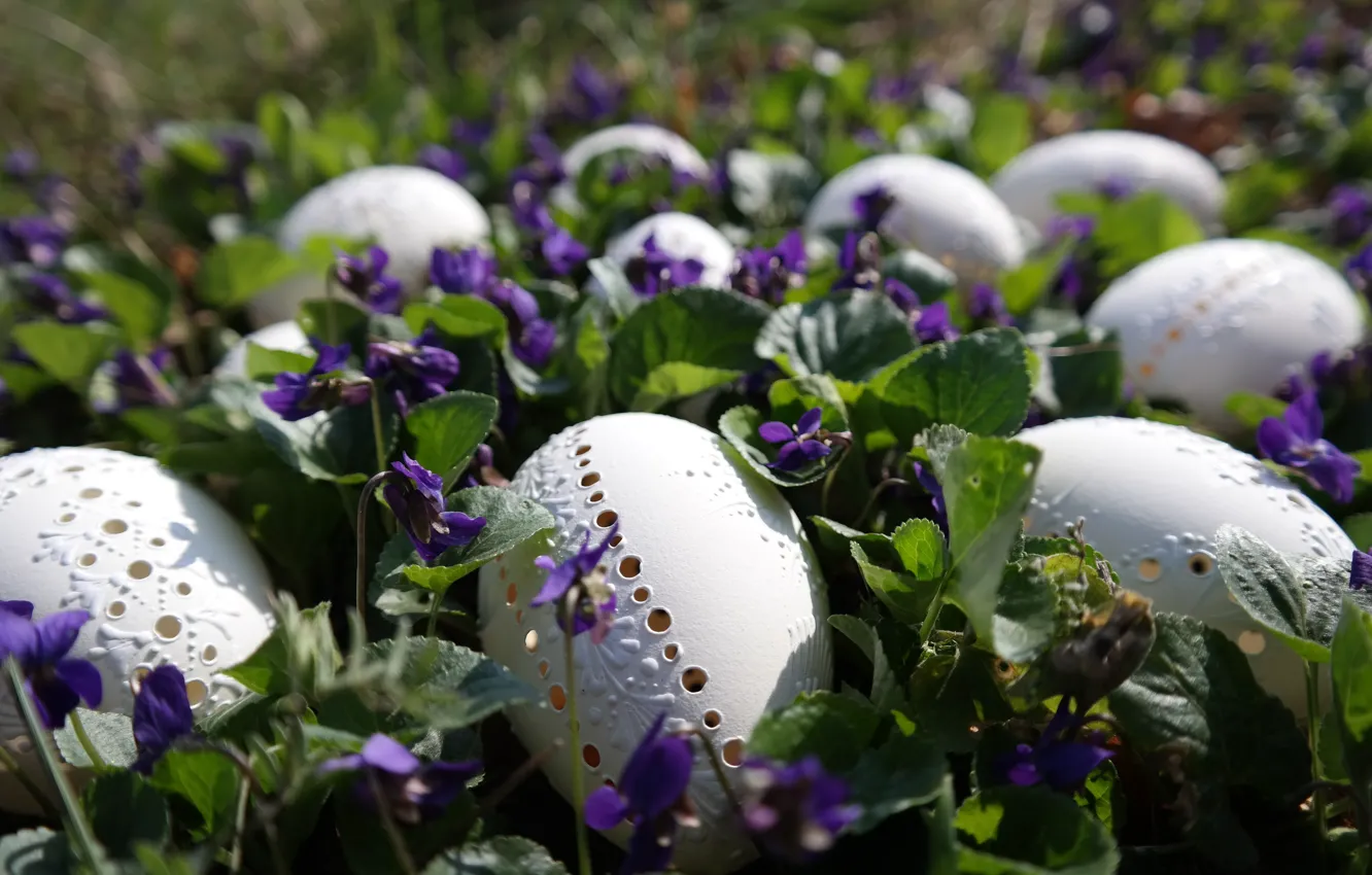 Photo wallpaper flowers, nature, holiday, eggs, spring, Easter, violet