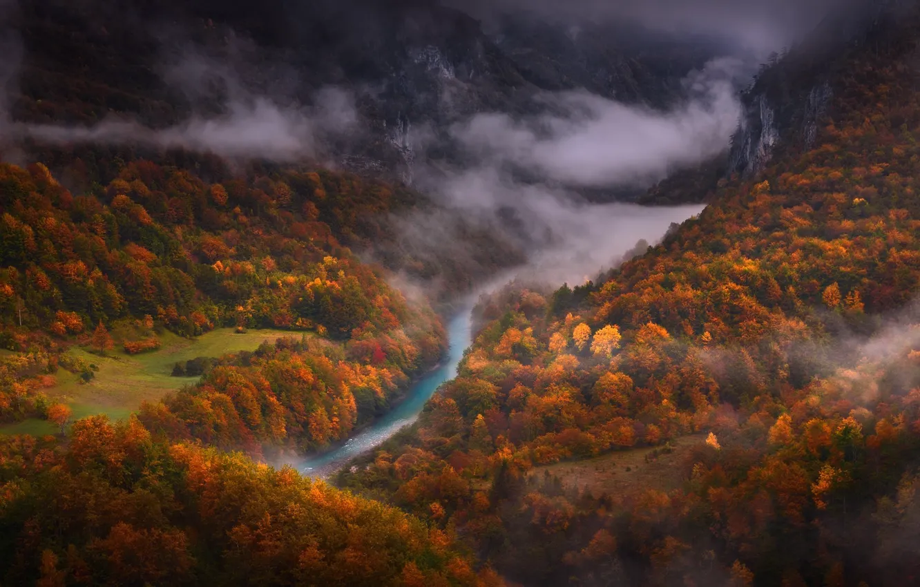 Photo wallpaper autumn, trees, mountains, river, paint, forest, tum