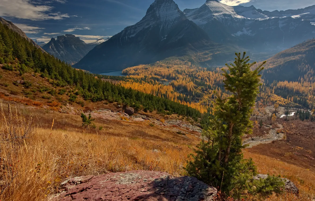 Photo wallpaper autumn, forest, the sky, grass, the sun, clouds, trees, mountains