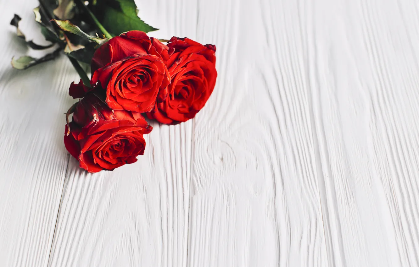 Photo wallpaper flowers, background, bouquet, buds, red roses