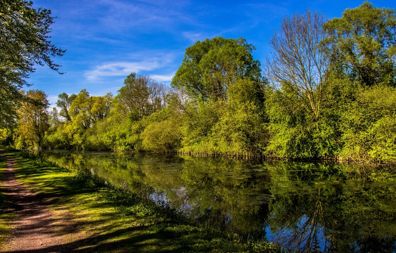 Photo wallpaper trees, landscape, nature, lake