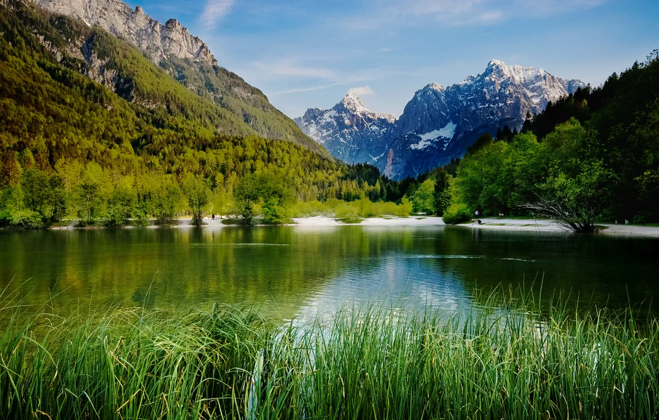 Photo wallpaper forest, trees, mountains, lake, the reeds, rocks, Slovenia, Lake Jasna
