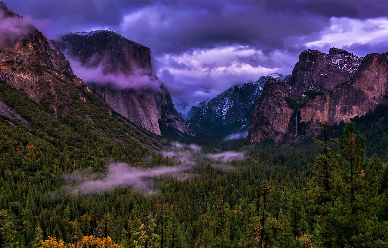 Photo wallpaper forest, the sky, Park, rocks, the evening, CA, USA, Yosemite
