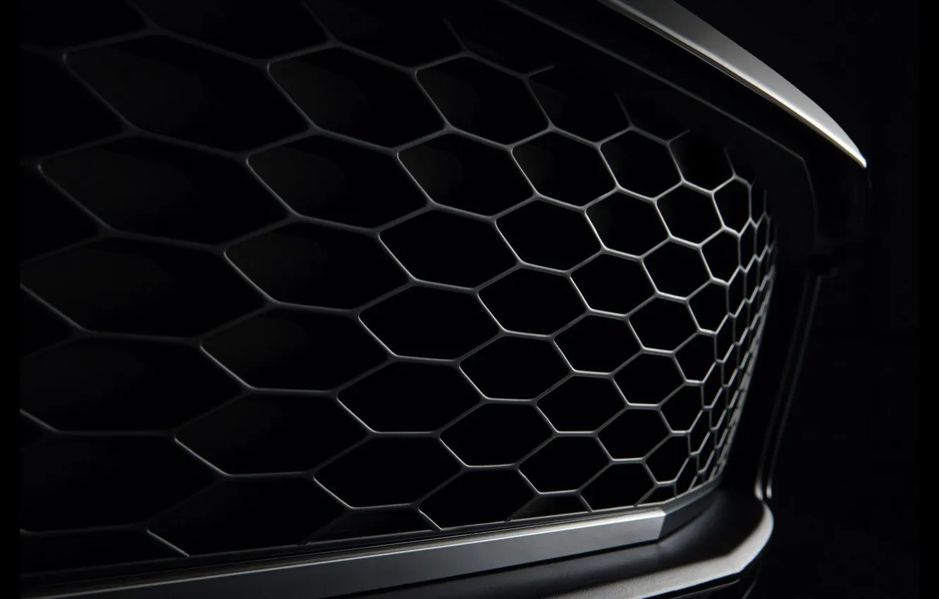 Photo wallpaper macro, minimalism, grille