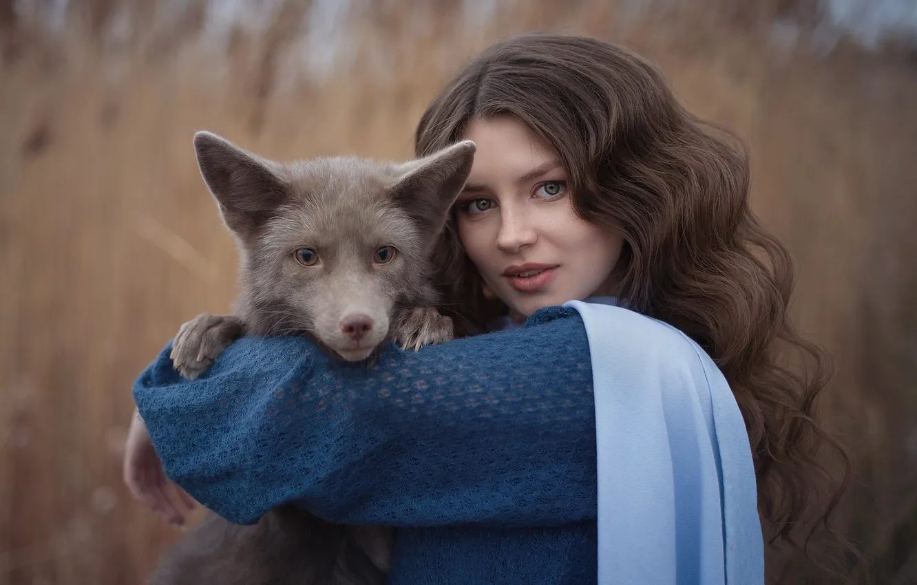 Photo wallpaper autumn, girl, pose, grey, portrait, Fox, brown hair, curls