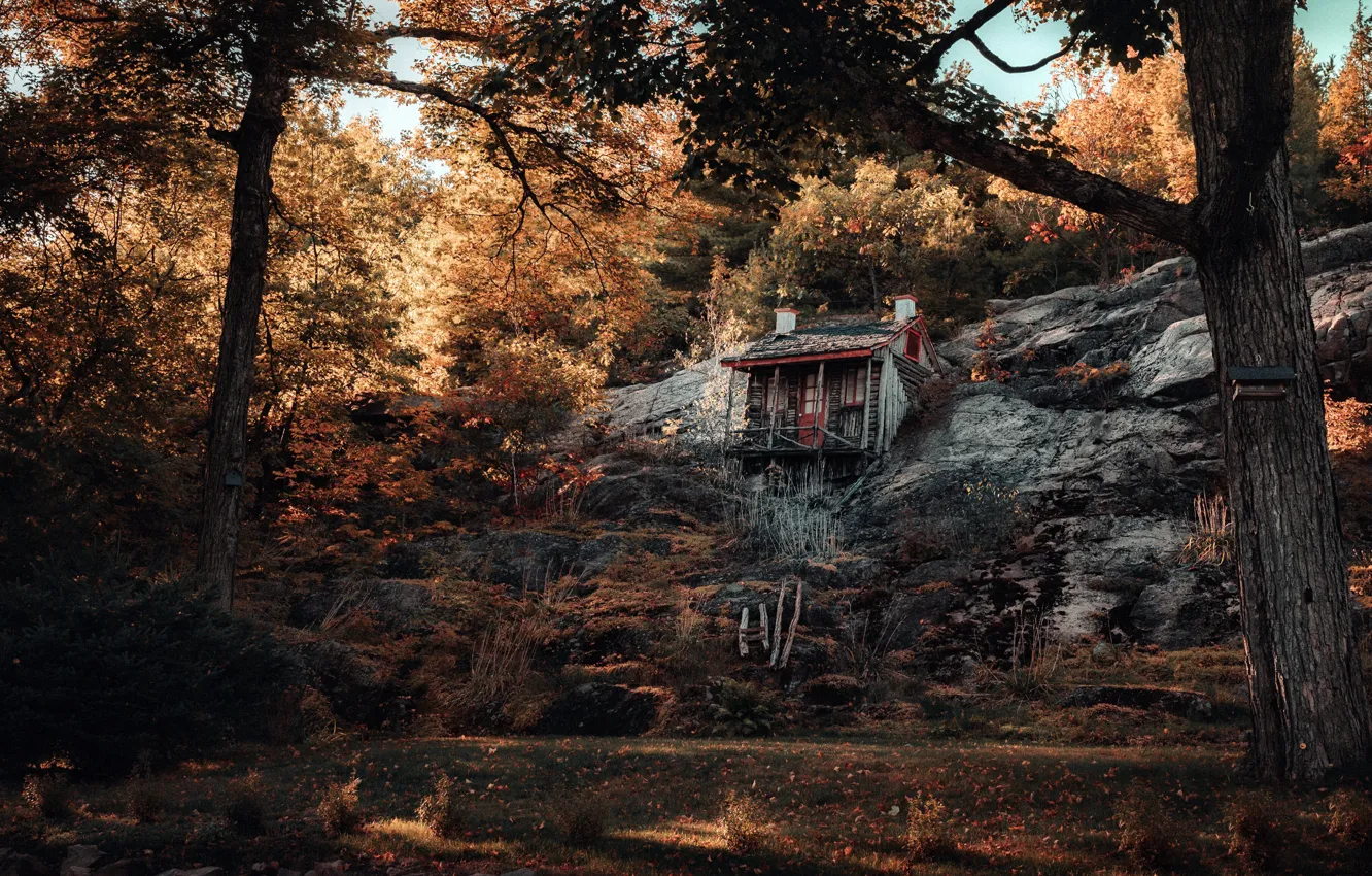 Photo wallpaper house, tree, mountain