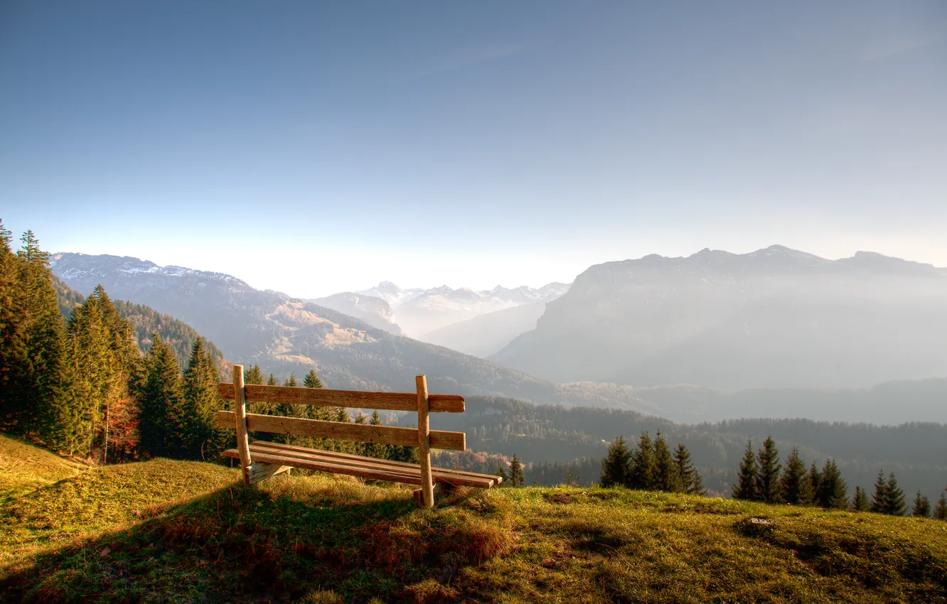 Photo wallpaper forest, mountains, shop, on the edge
