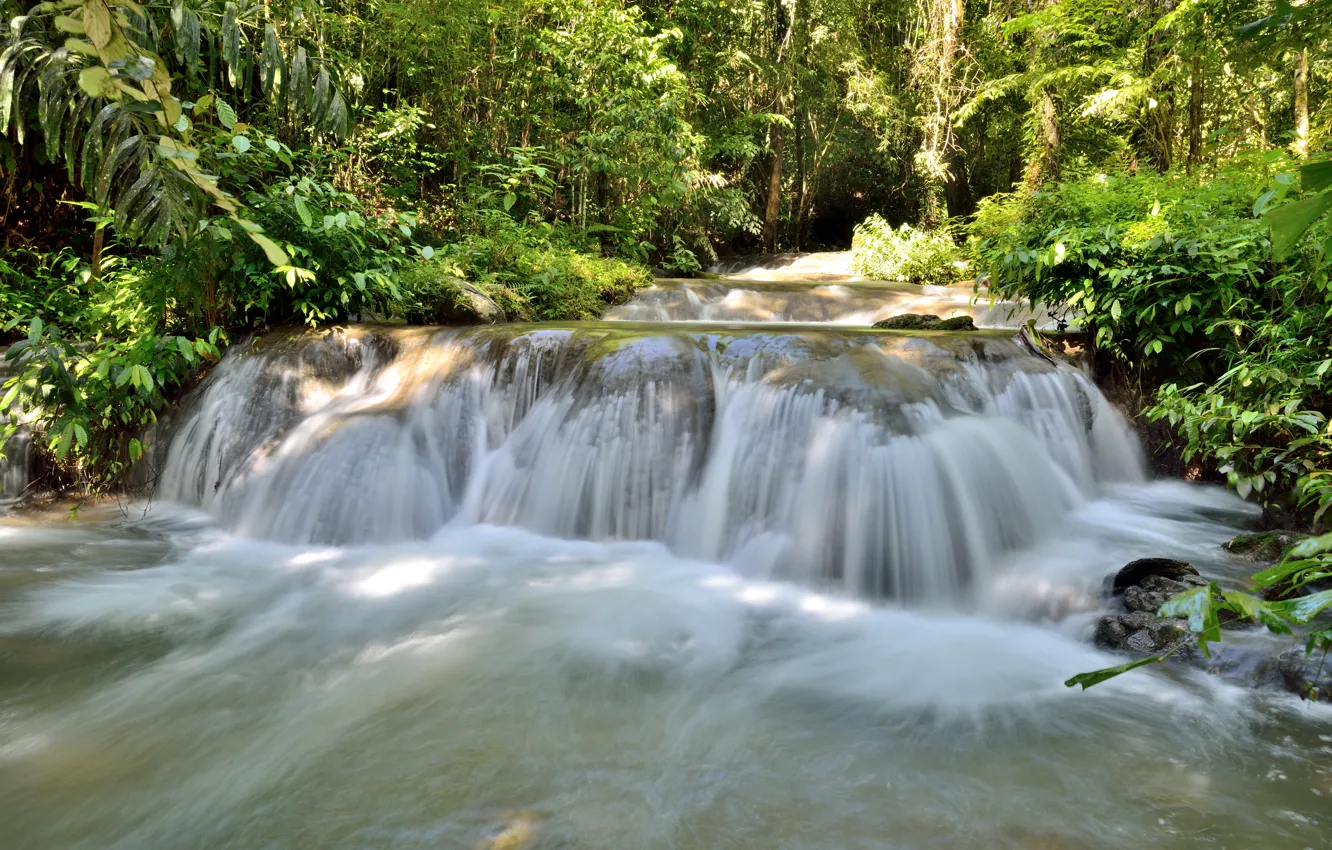 Photo wallpaper forest, landscape, river, rocks, waterfall, summer, forest, tropical