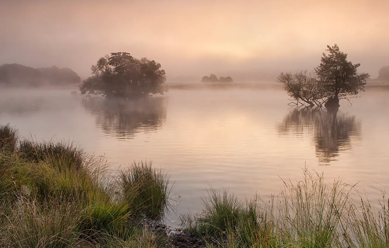 Photo wallpaper fog, river, United Kingdom, Surrey, Richmond Park