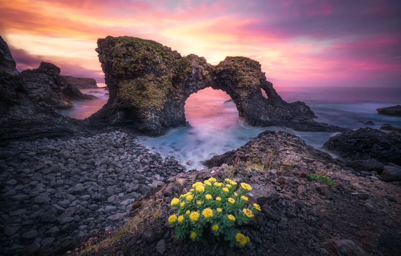 Photo wallpaper sea, flowers, rocks, shore