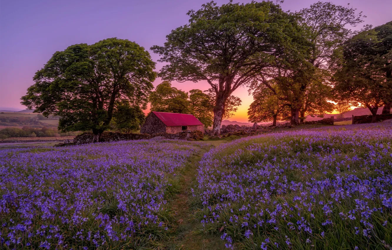 Photo wallpaper trees, sunset, flowers, the barn, bells, path