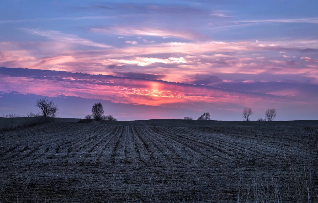 Photo wallpaper field, the sky, sunset