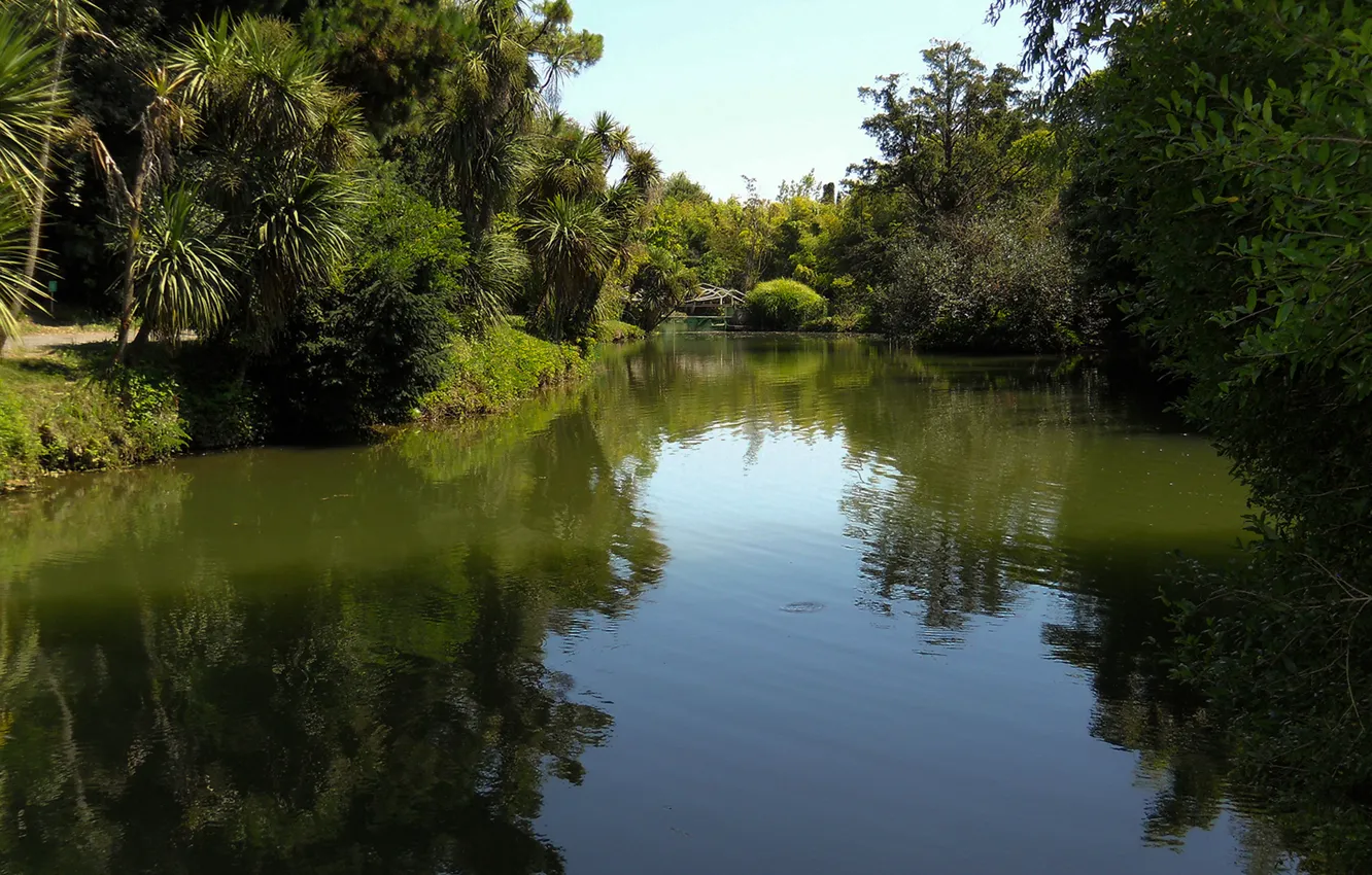 Photo wallpaper pond, Adler, Park of southern cultures