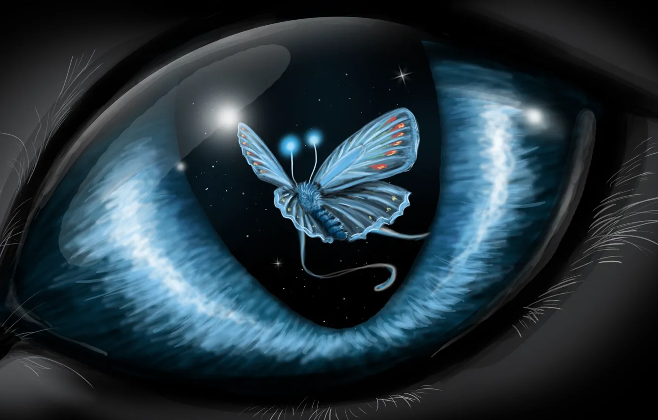 Photo wallpaper eyes, butterfly, wool