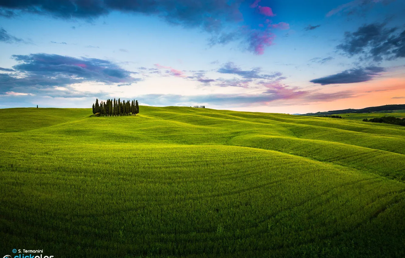 Photo wallpaper field, landscape, sunset, nature