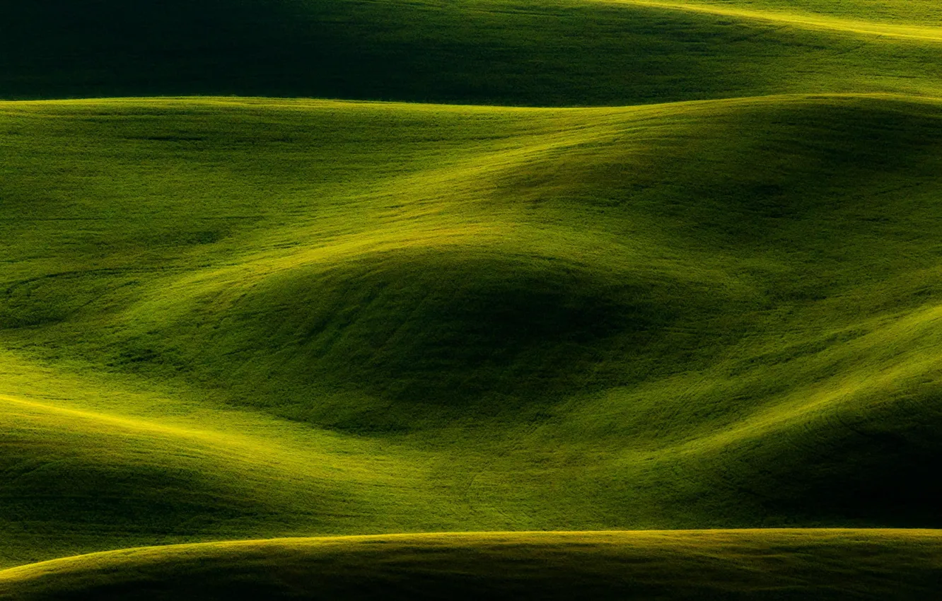 Photo wallpaper field, nature, green, background