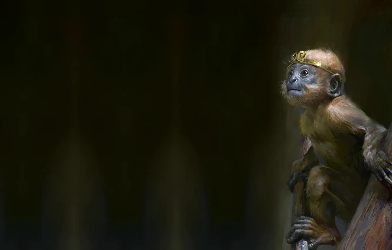 Photo wallpaper art, monkey, jun ling
