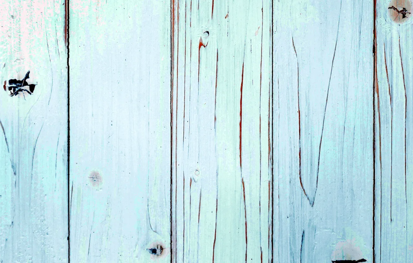 Photo wallpaper trees, paint, Board