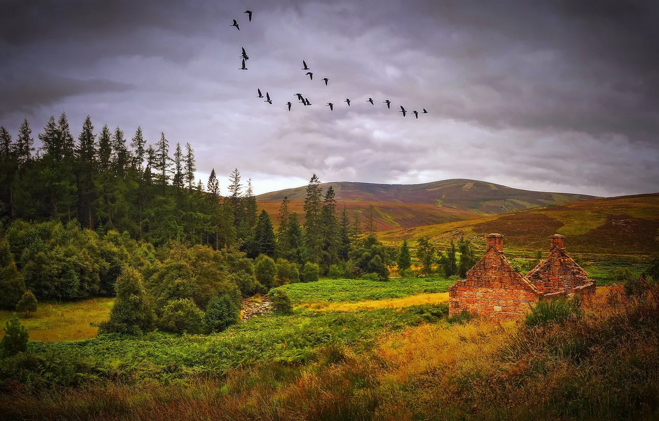 Photo wallpaper autumn, landscape, Scotland