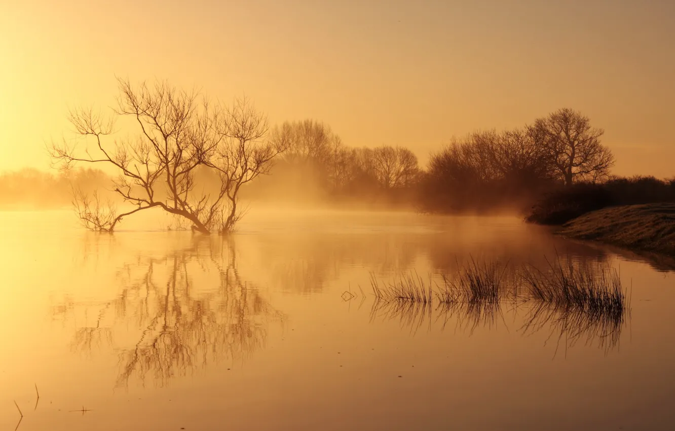 Photo wallpaper landscape, nature, fog, lake, morning