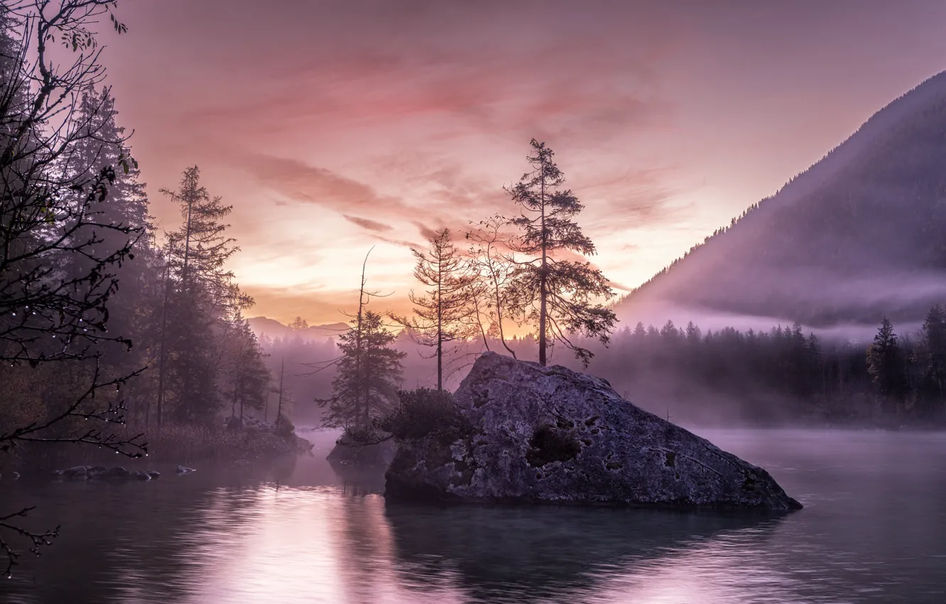 Photo wallpaper forest, the sky, clouds, light, mountains, fog, lake, stones