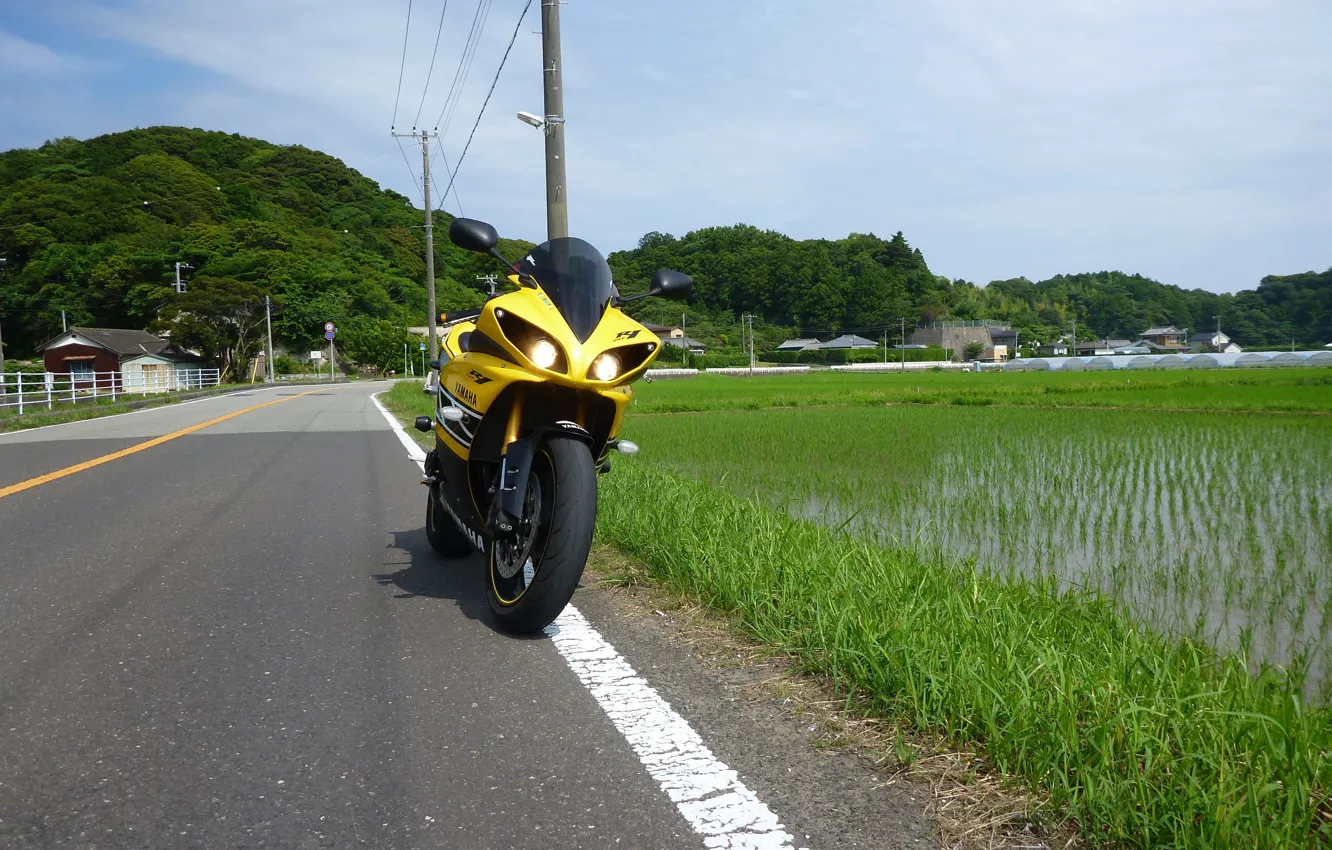 Photo wallpaper Yellow, YZF-R1, Front view