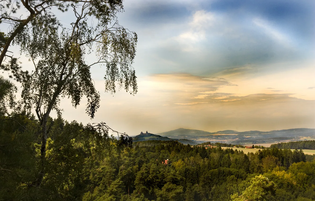 Photo wallpaper forest, trees, hills, the evening, Czech Republic, Liberec
