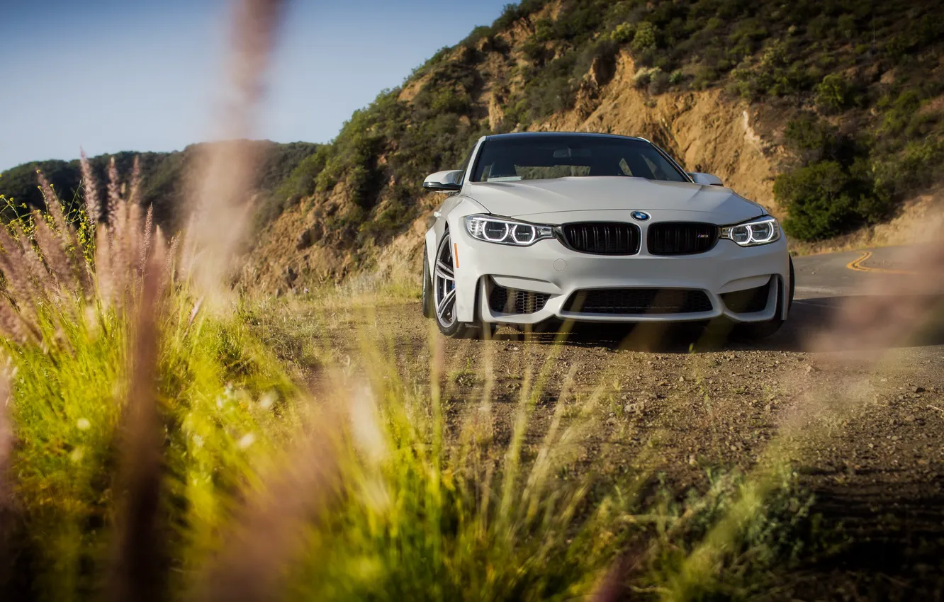 Photo wallpaper BMW, Green, White, Mountains, F82