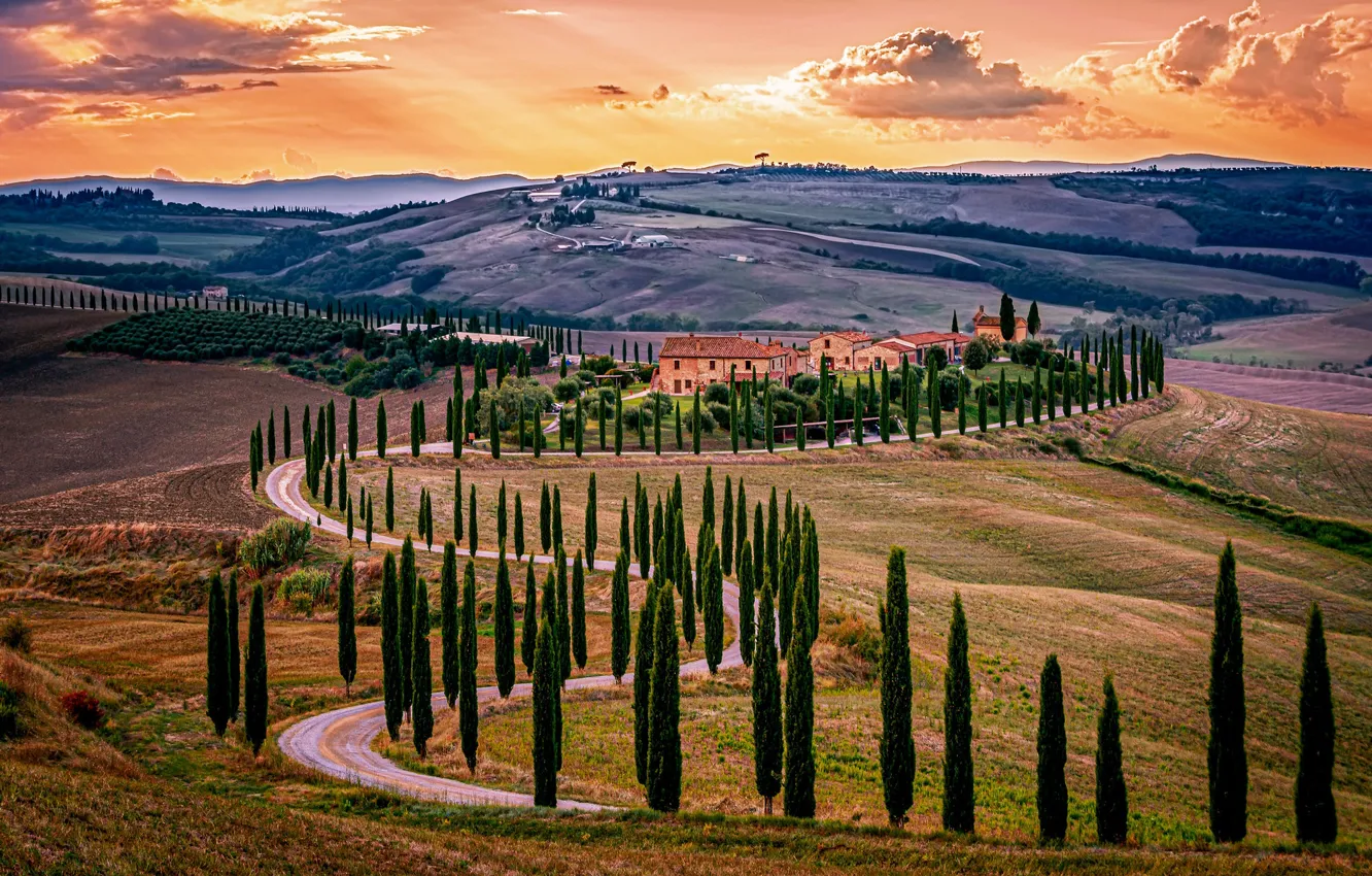 Photo wallpaper road, Italy, cypress, farmhouse, Baccoleno