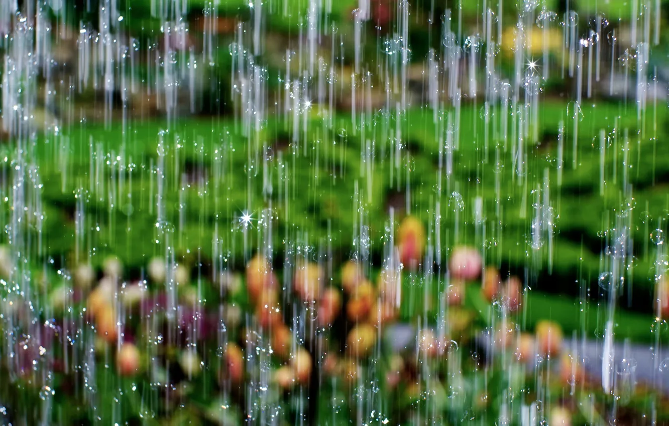 Photo wallpaper drops, macro, rain, waterfall