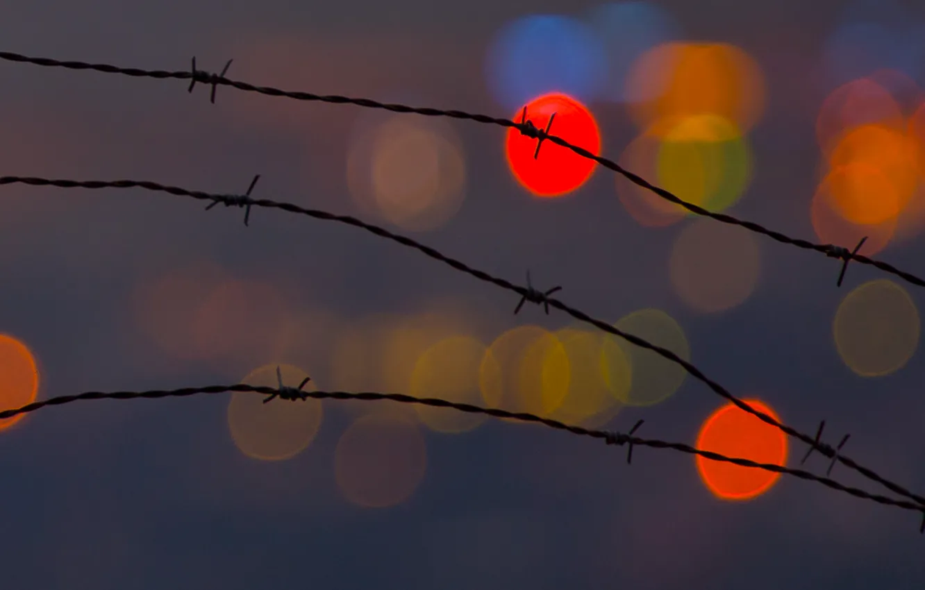Photo wallpaper macro, wire, globes