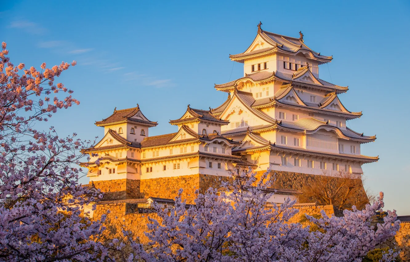 Photo wallpaper castle, Japan, Sakura, Himeji