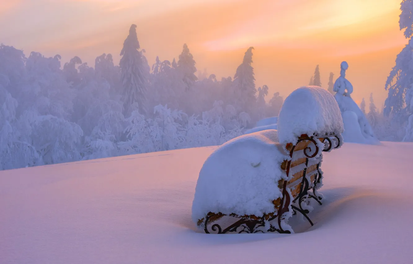 Photo wallpaper winter, snow, landscape, sunset, bench