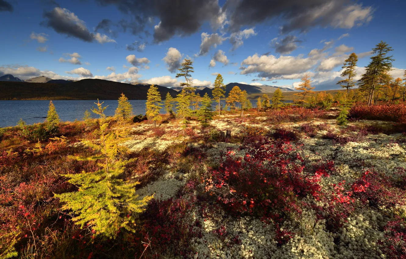 Photo wallpaper autumn, the sky, clouds, mountains, hills, shore, foliage, pond