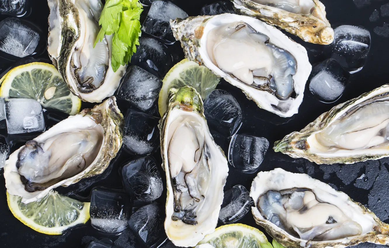 Photo wallpaper ice, lemon, black background, oysters, delicacy