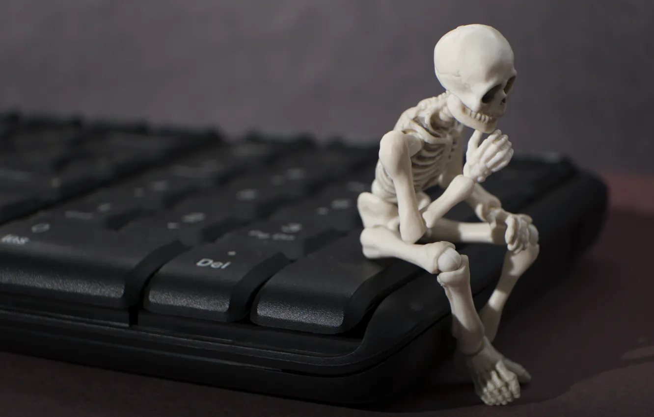 Photo wallpaper computer, macro, surface, table, humor, keyboard, bokeh, wallpaper.