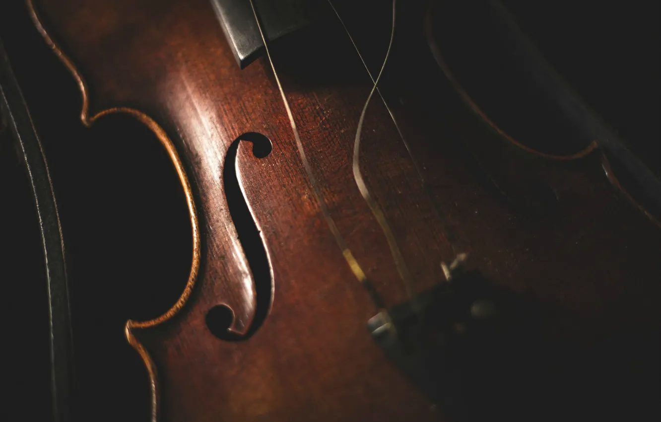 Photo wallpaper music, background, violin