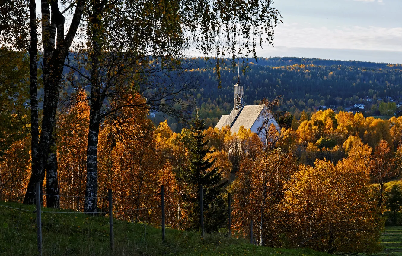 Photo wallpaper autumn, forest, trees, mountains, branches, view, dal, slope