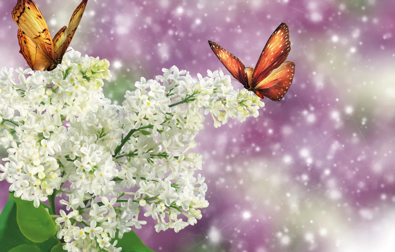 Photo wallpaper white, branches, butterfly, lilac