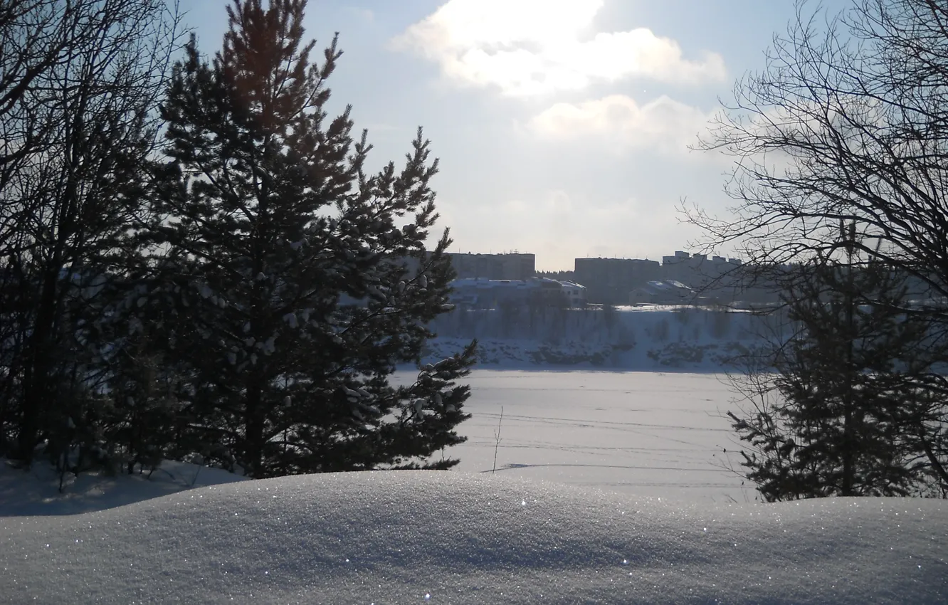 Photo wallpaper the sky, snow, trees, Shine, beauty