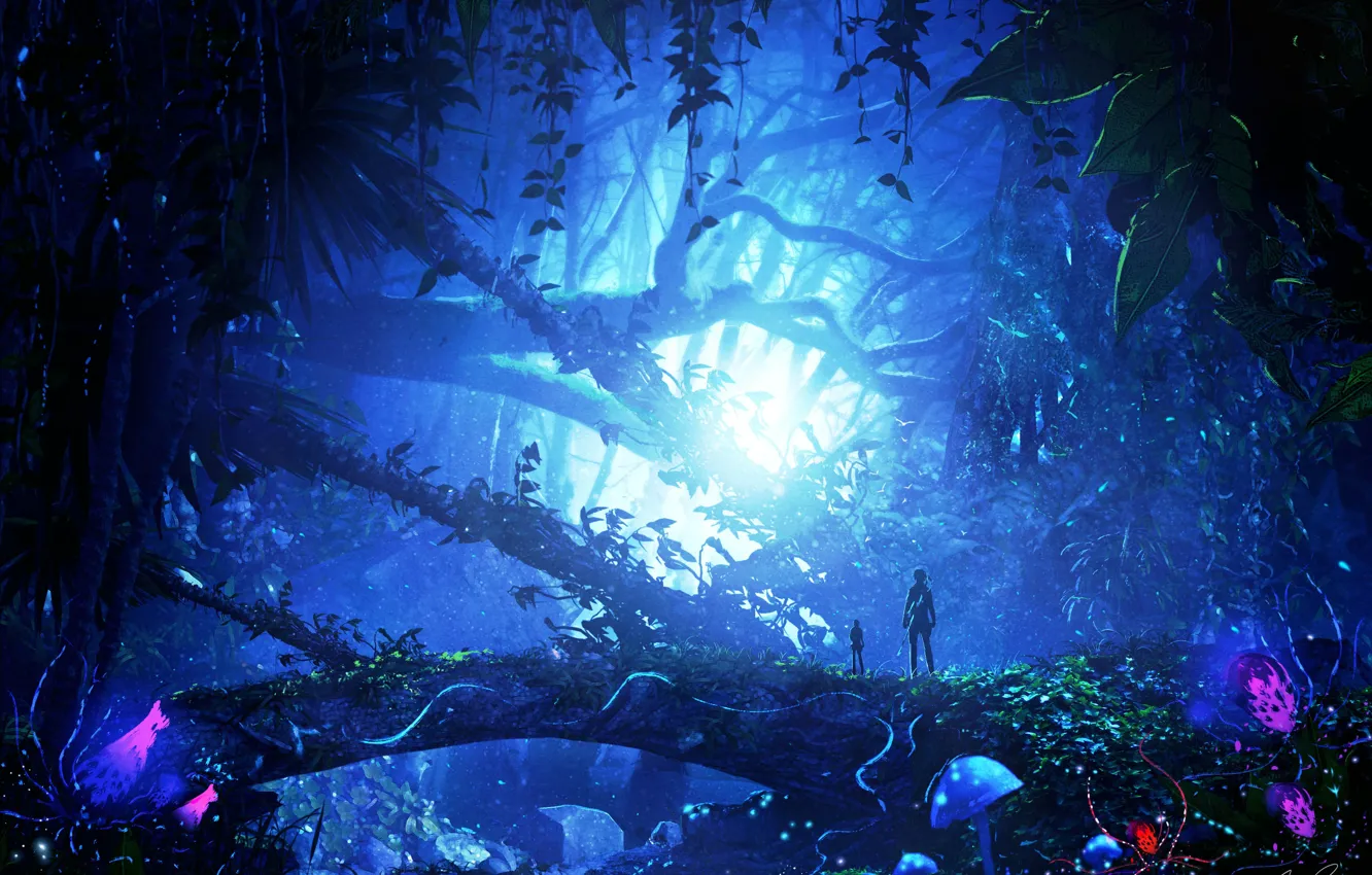 Photo wallpaper forest, night, mushrooms, warrior, fantasy