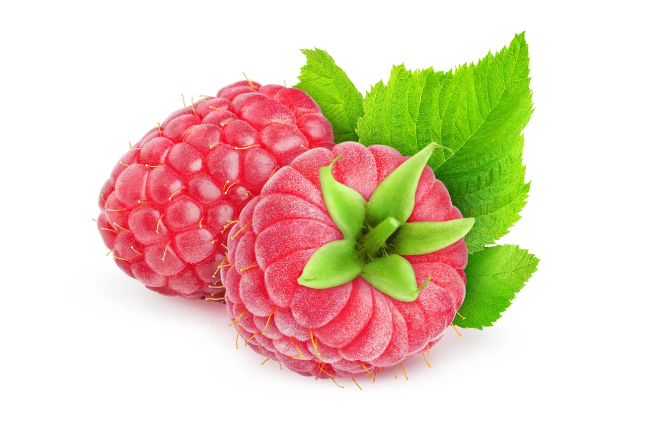 Photo wallpaper raspberry, red, white, berry, green, raspberry