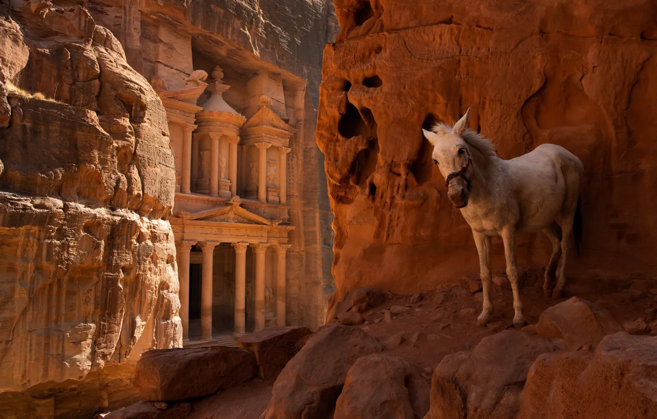 Photo wallpaper stones, rocks, temple, donkeys, Ass, donkey