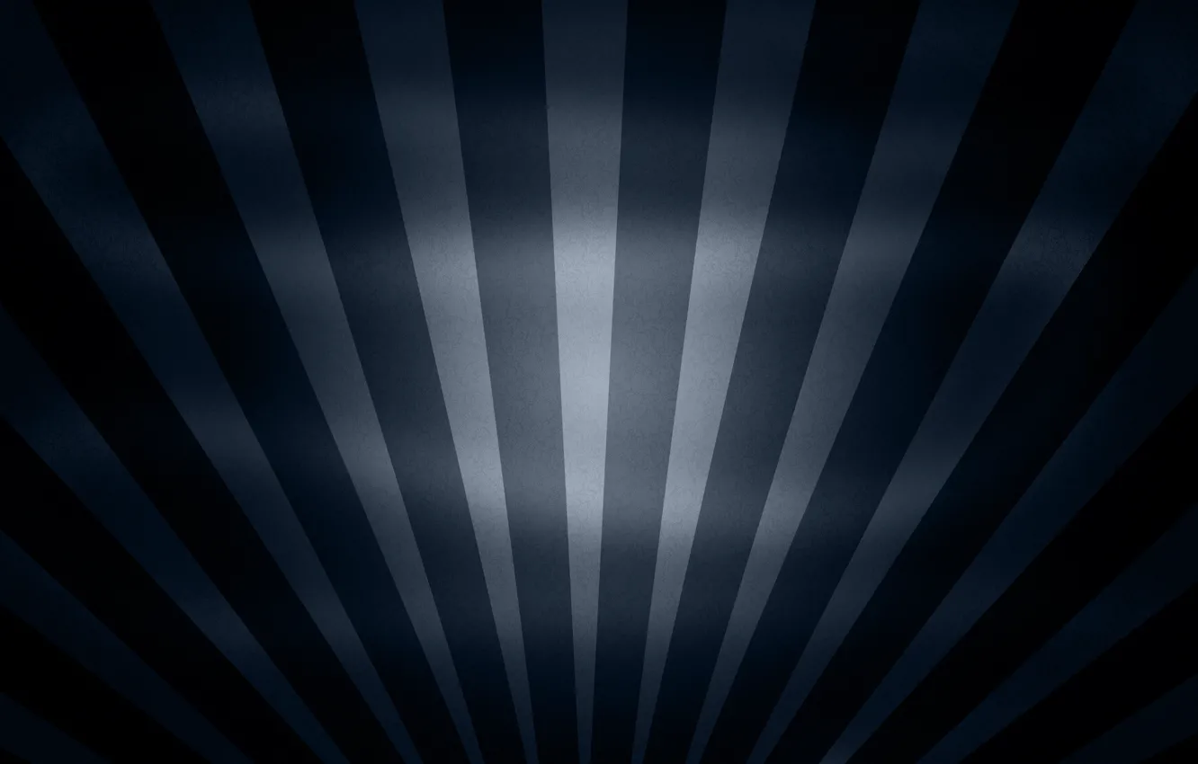 Photo wallpaper flowers, strip, blue