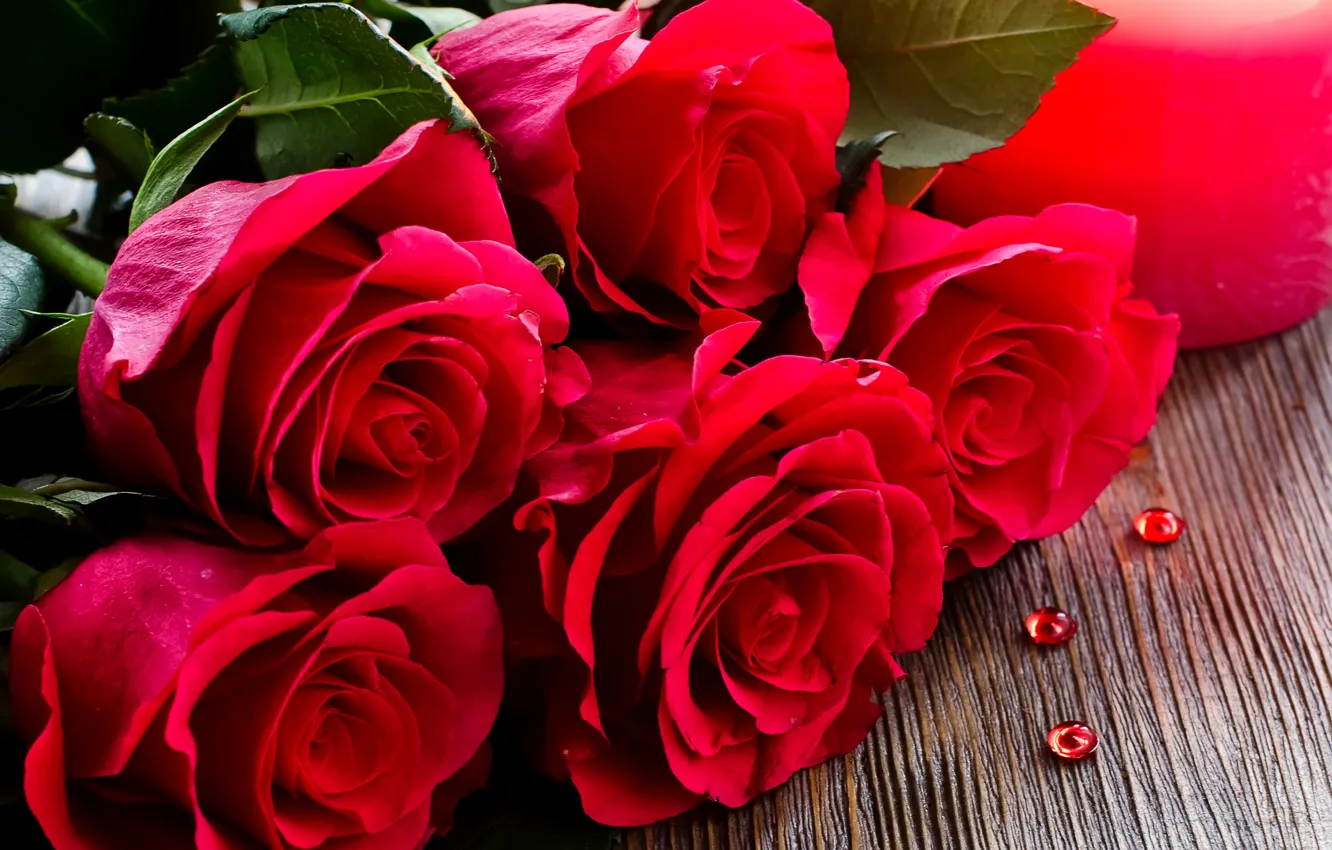Photo wallpaper roses, bouquet, red, closeup