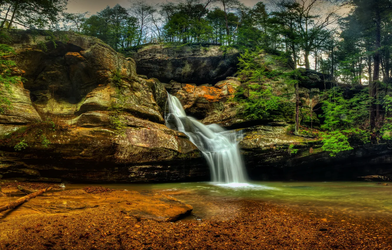 Photo wallpaper forest, trees, stones, rocks, waterfall, moss, treatment, USA